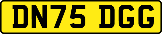 DN75DGG