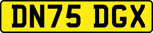 DN75DGX