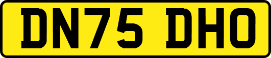 DN75DHO