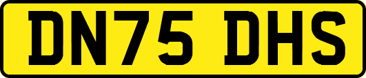 DN75DHS