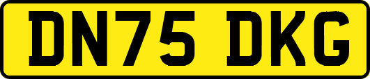 DN75DKG