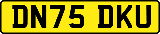 DN75DKU