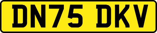 DN75DKV