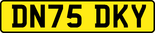 DN75DKY