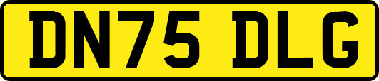 DN75DLG