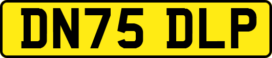 DN75DLP