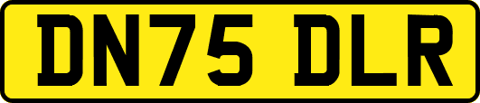 DN75DLR