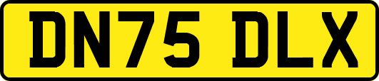 DN75DLX