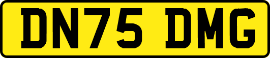 DN75DMG