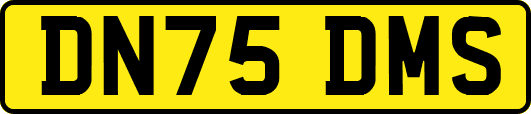 DN75DMS