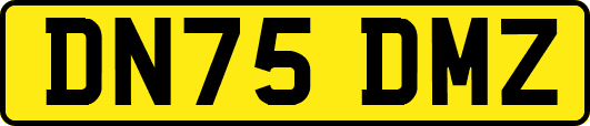 DN75DMZ