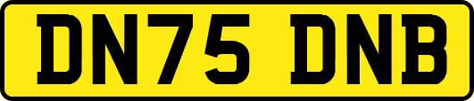 DN75DNB