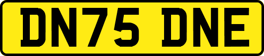 DN75DNE