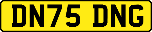 DN75DNG