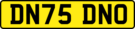 DN75DNO