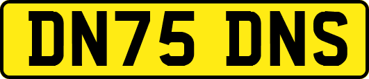 DN75DNS