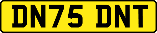 DN75DNT