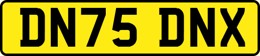 DN75DNX