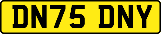 DN75DNY