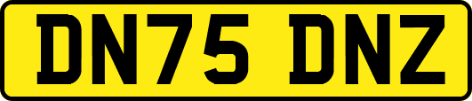 DN75DNZ