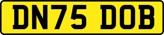 DN75DOB
