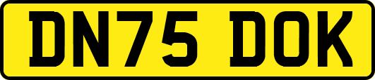 DN75DOK
