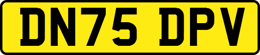 DN75DPV