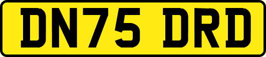 DN75DRD
