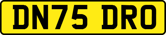DN75DRO