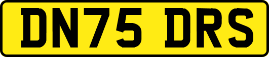 DN75DRS
