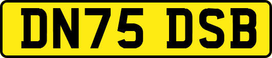 DN75DSB