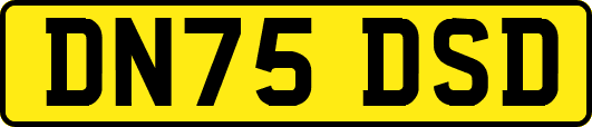 DN75DSD