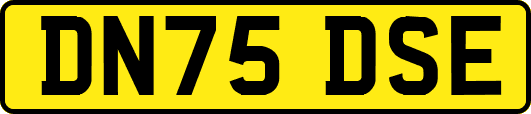 DN75DSE