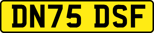 DN75DSF