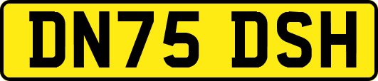 DN75DSH