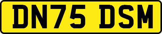 DN75DSM