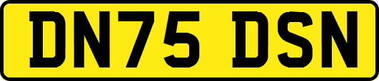 DN75DSN