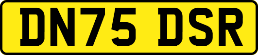 DN75DSR
