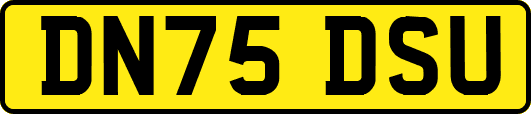 DN75DSU