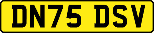 DN75DSV