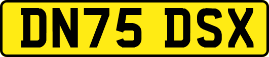 DN75DSX