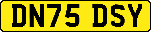 DN75DSY