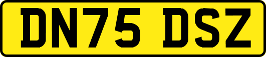 DN75DSZ