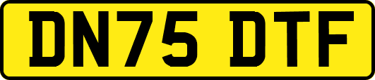 DN75DTF