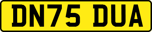 DN75DUA