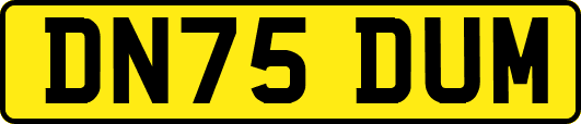 DN75DUM