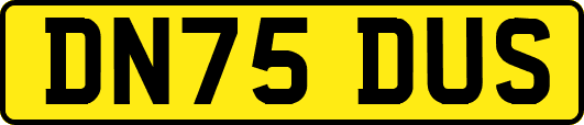DN75DUS