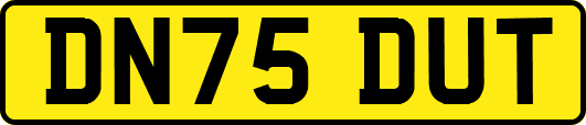 DN75DUT