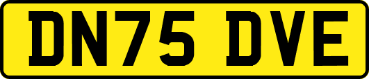 DN75DVE