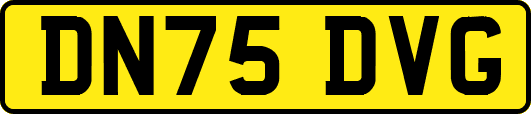DN75DVG